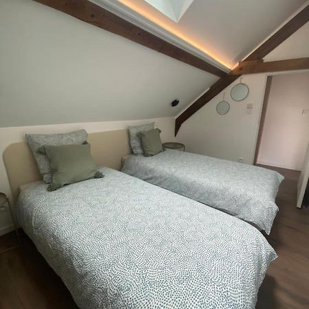 T3 Kokon Lumineux & Chaleureux, Parking, Climatisation Apartment Bagneres-de-Bigorre Bagian luar foto