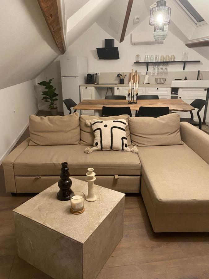 T3 Kokon Lumineux & Chaleureux, Parking, Climatisation Apartment Bagneres-de-Bigorre Bagian luar foto